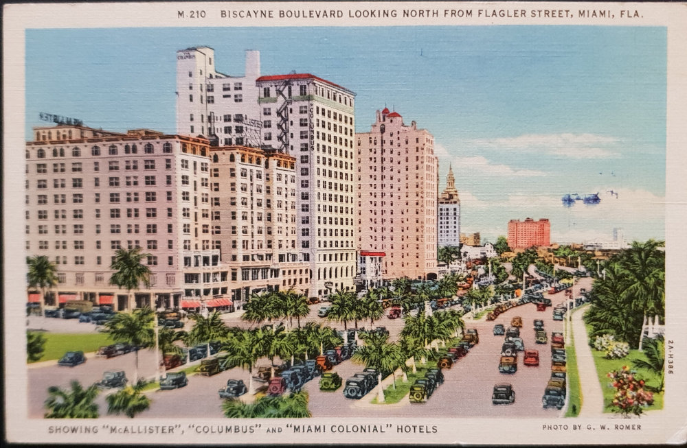 (image for) postcard USA - FL - Florida #0002